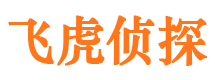 浮梁婚外情调查取证